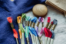 Lade das Bild in den Galerie-Viewer, DMC Stickgarn Baumwolle zum Sticken und Stopfen
