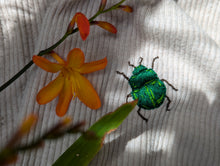 Lade das Bild in den Galerie-Viewer, Maikäfer Stickerei