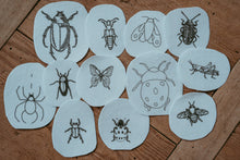 Lade das Bild in den Galerie-Viewer, 12 ausgeschnittene Vorlagen für Insektenstickereien